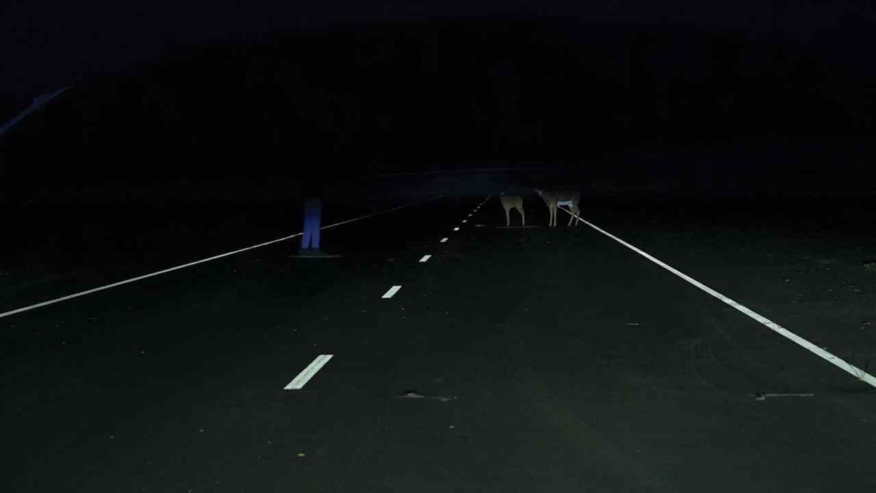 Guida di notte. Le regole di illuminazione