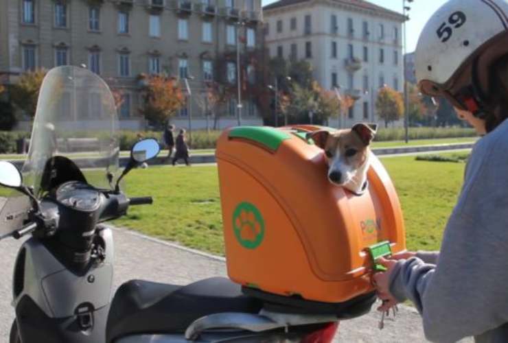 Trasporto di un cane in moto consentito purché si utilizzi una gabbia o un contenitore