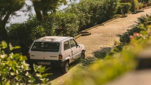 Ultim’ora – Bollo auto gratis se hai la FIAT Panda I Sorpresona di Pasqua di Elkann, presenta il libretto e scatta l’ESENZIONE