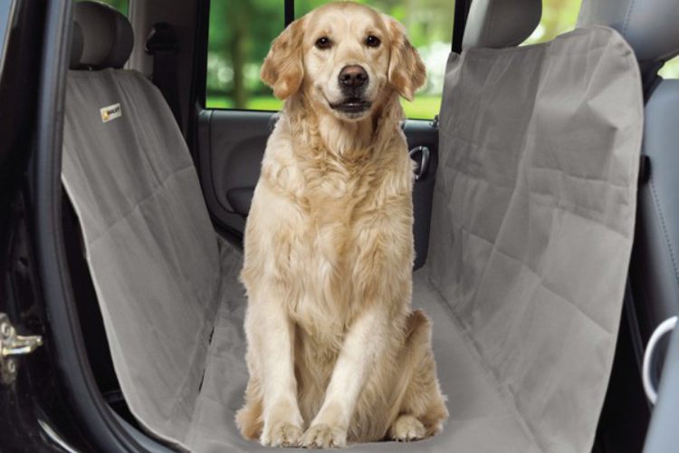 Telo cane auto - pet - solomotori.it